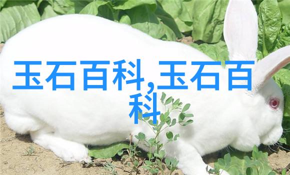 和田玉貔貅一般多少钱和田糖玉貔貅价格